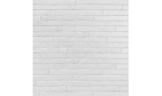 Ригельный кирпич